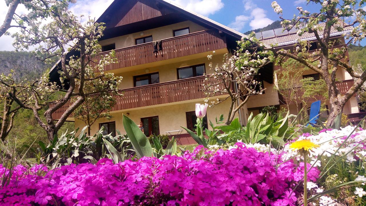 Apartments Arh Бохинь Экстерьер фото